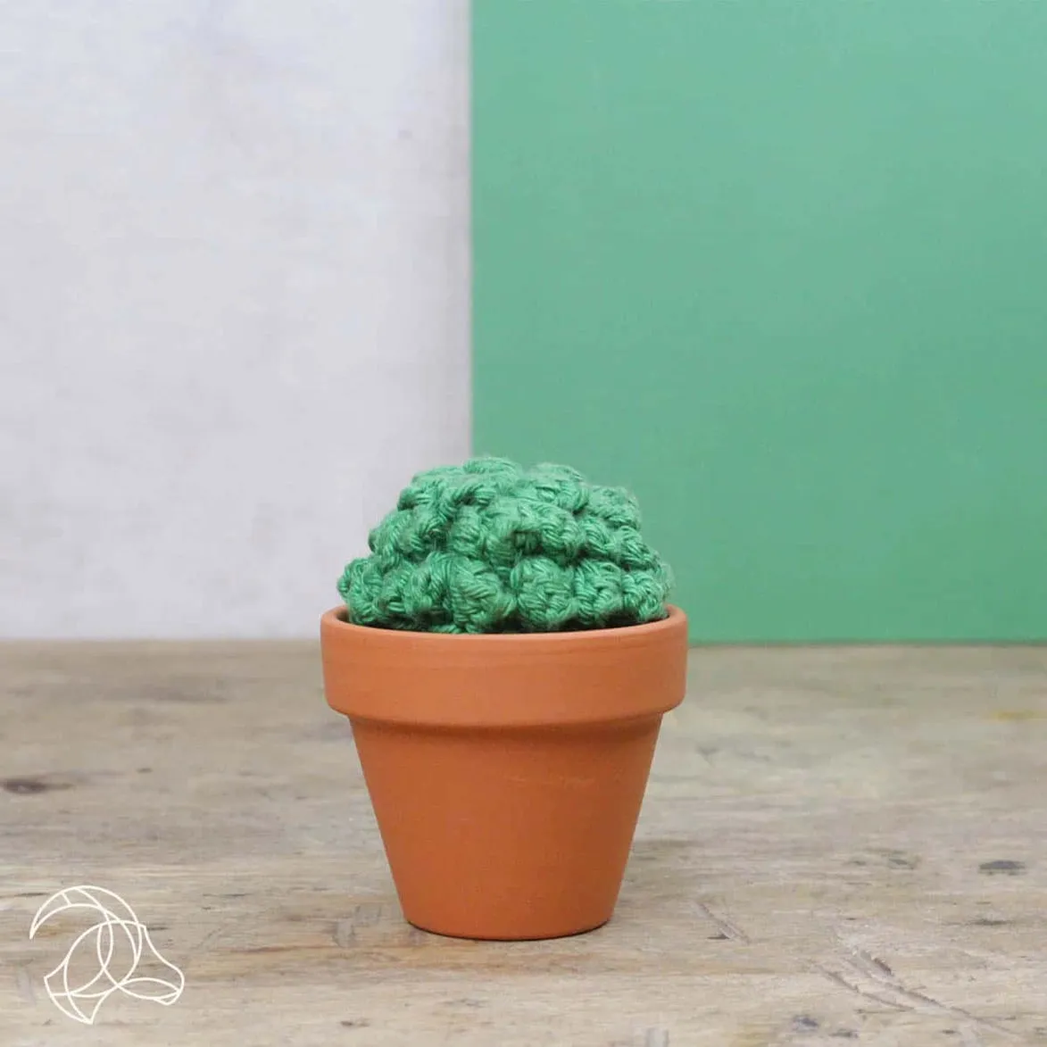 Cacti DIY Crochet Kit