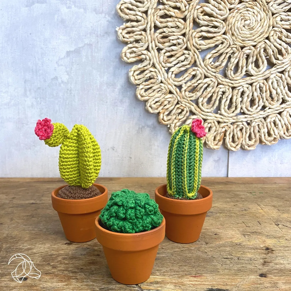 Cacti DIY Crochet Kit