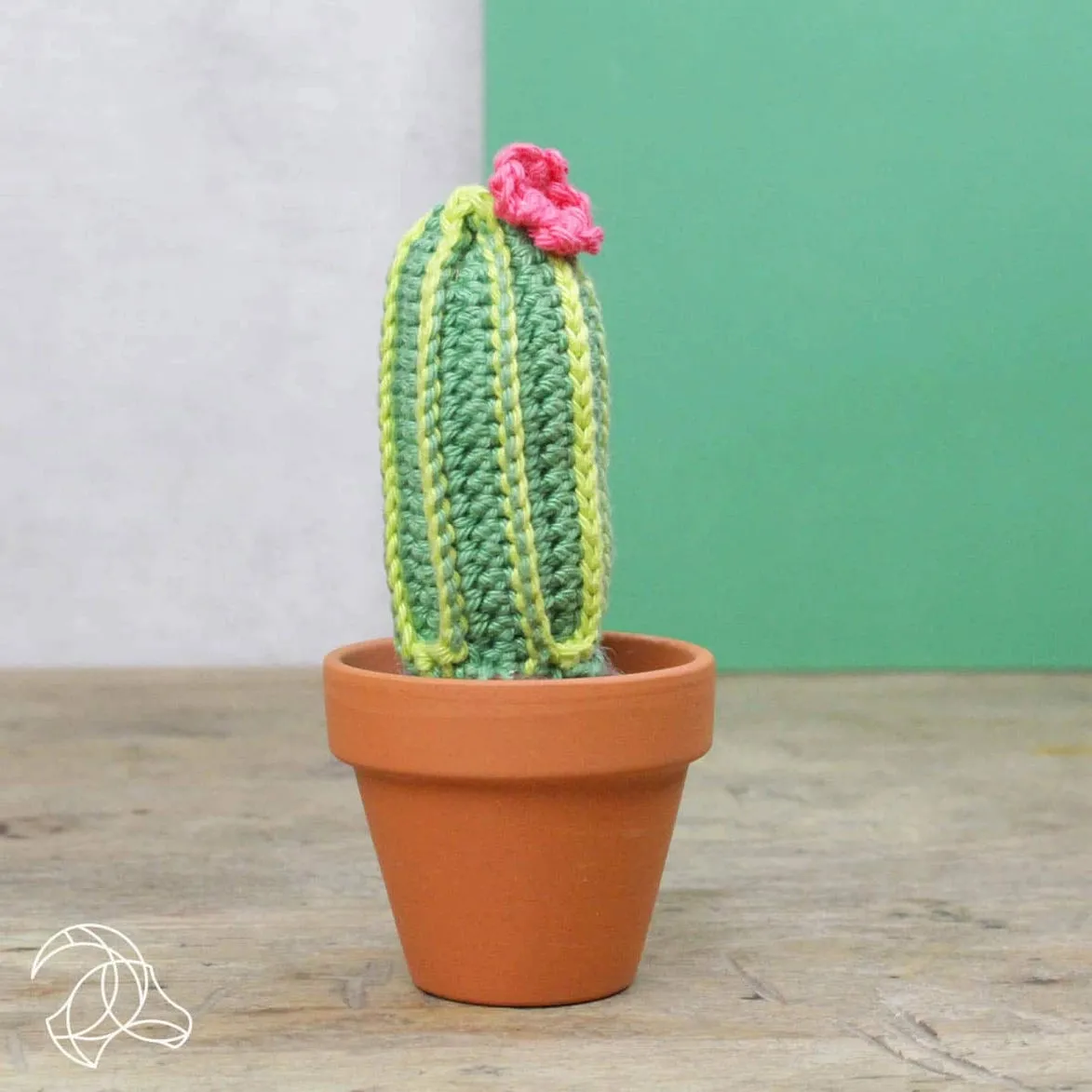 Cacti DIY Crochet Kit