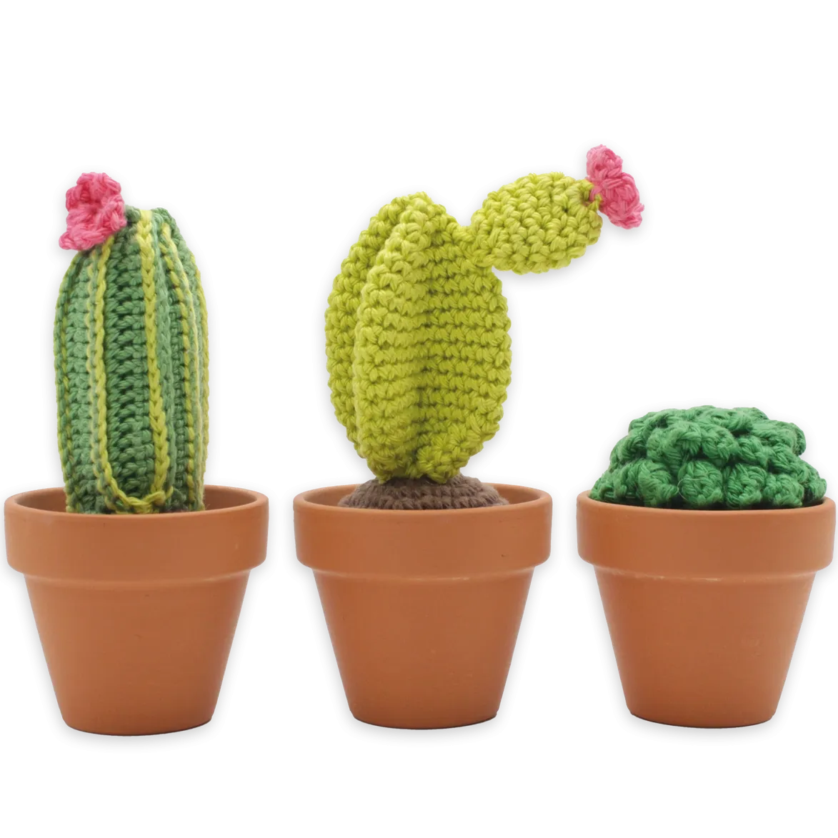 Cacti DIY Crochet Kit