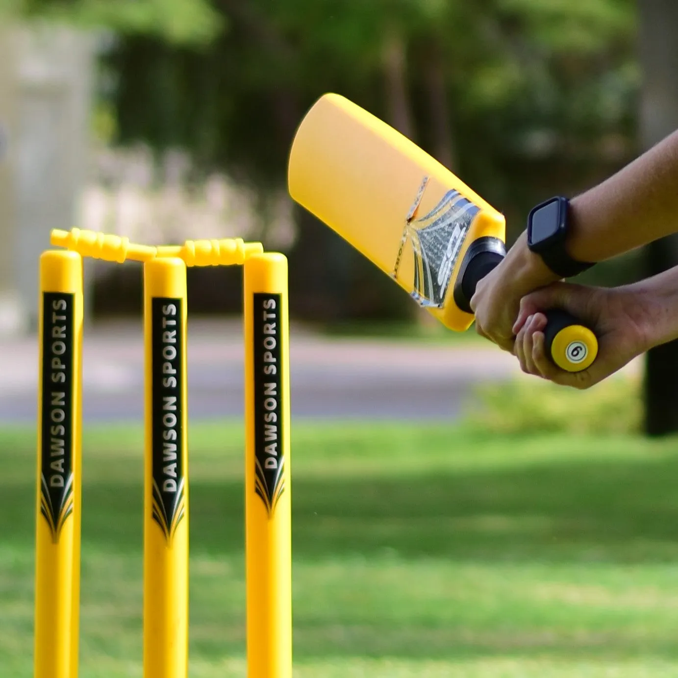 DS Cricket Set (2 sizes available)