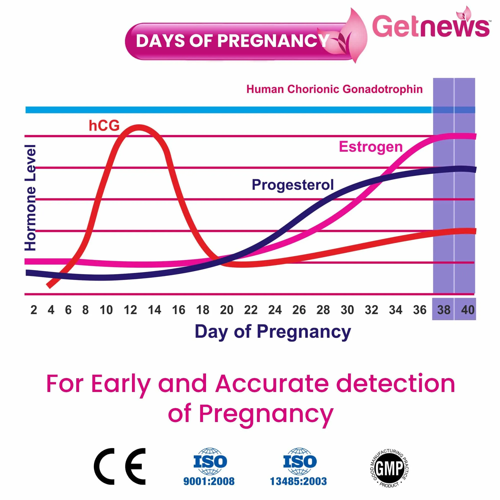 Nectar Getnews Pregnancy Test kit 1204 (Expiry October 2024)