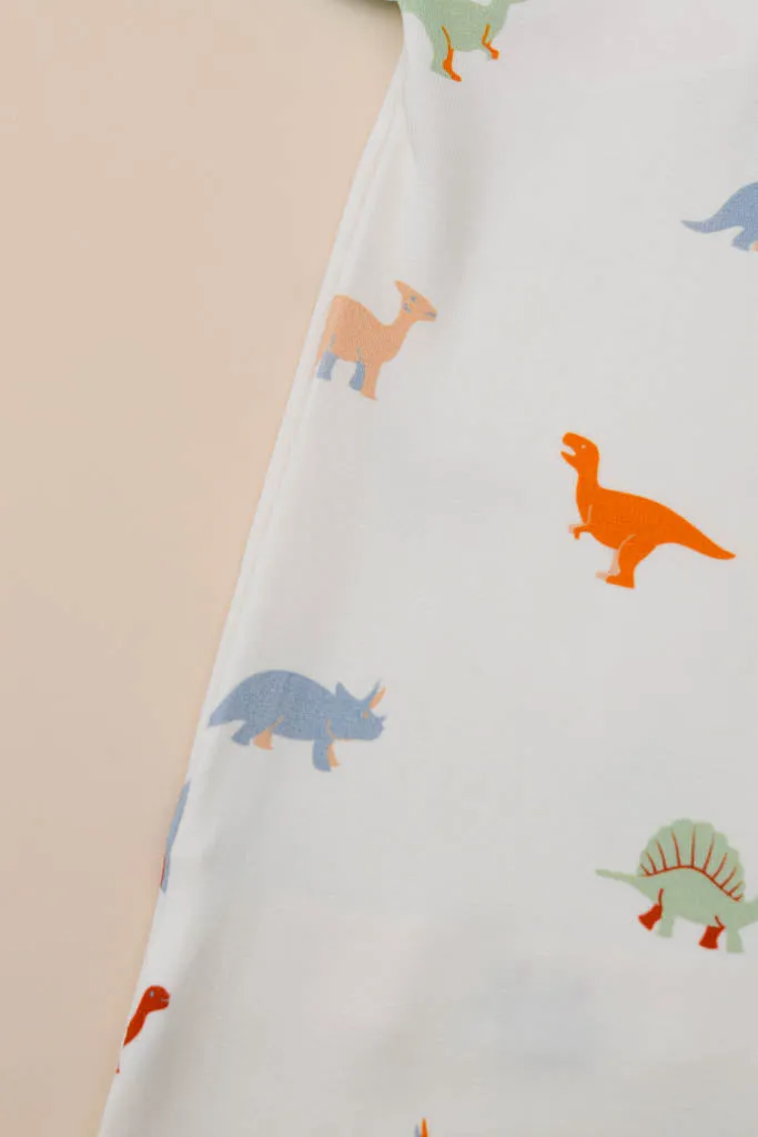 Pillow Case - Dino (Pillow not included)